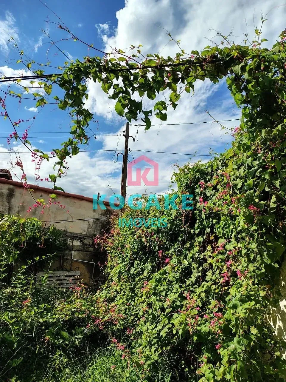 Terreno, 250 m² - Foto 17