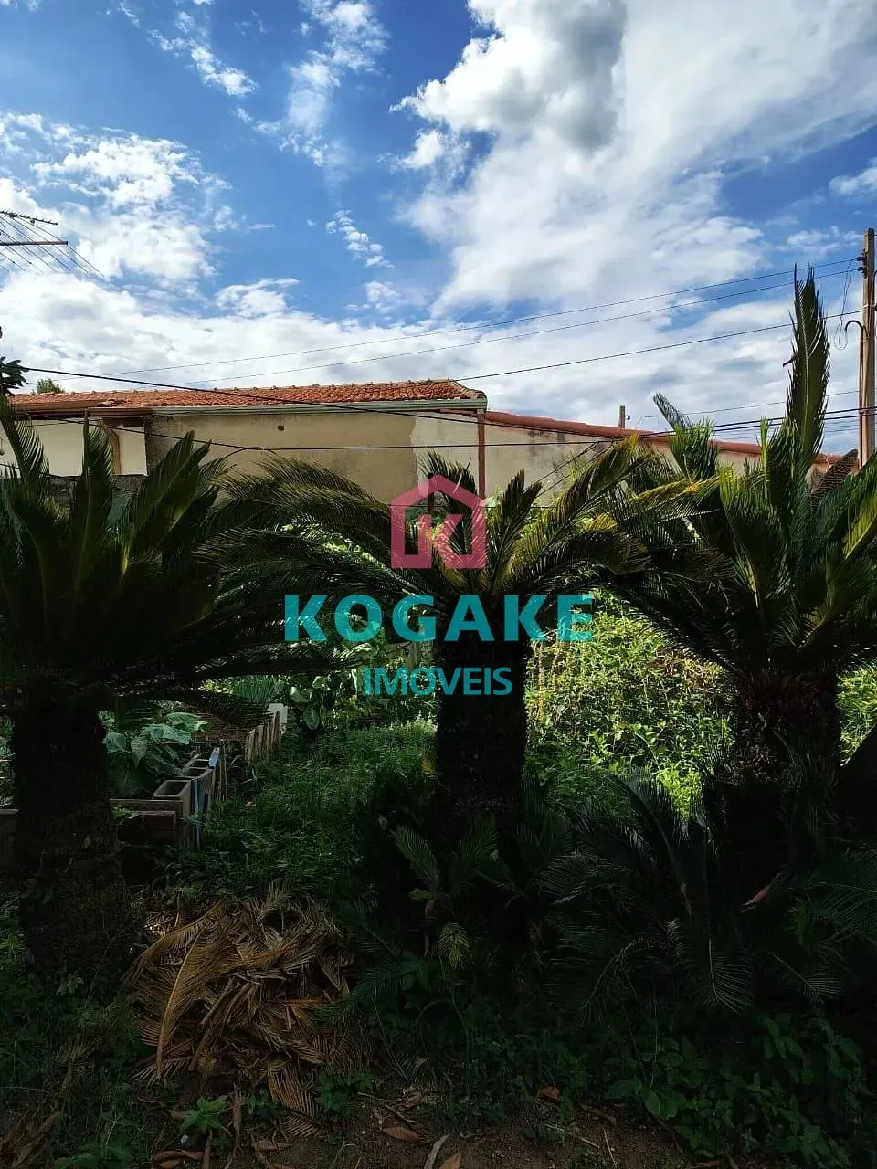 Terreno, 250 m² - Foto 15