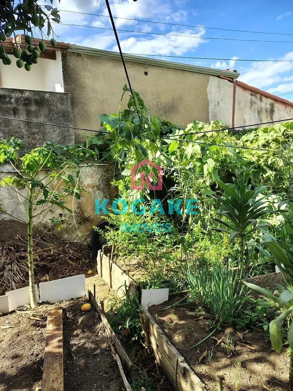 Terreno, 250 m² - Foto 13