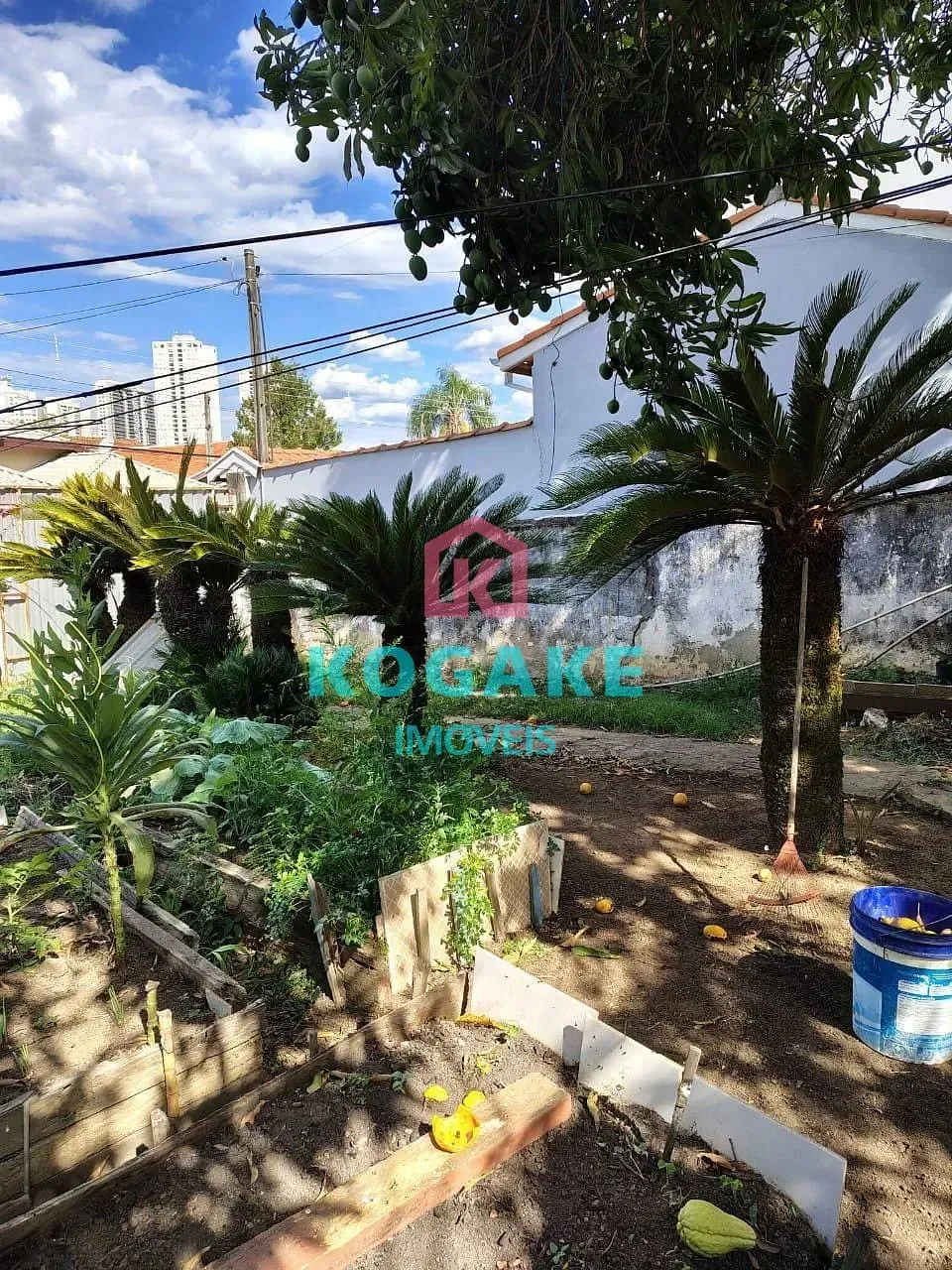 Terreno, 250 m² - Foto 12