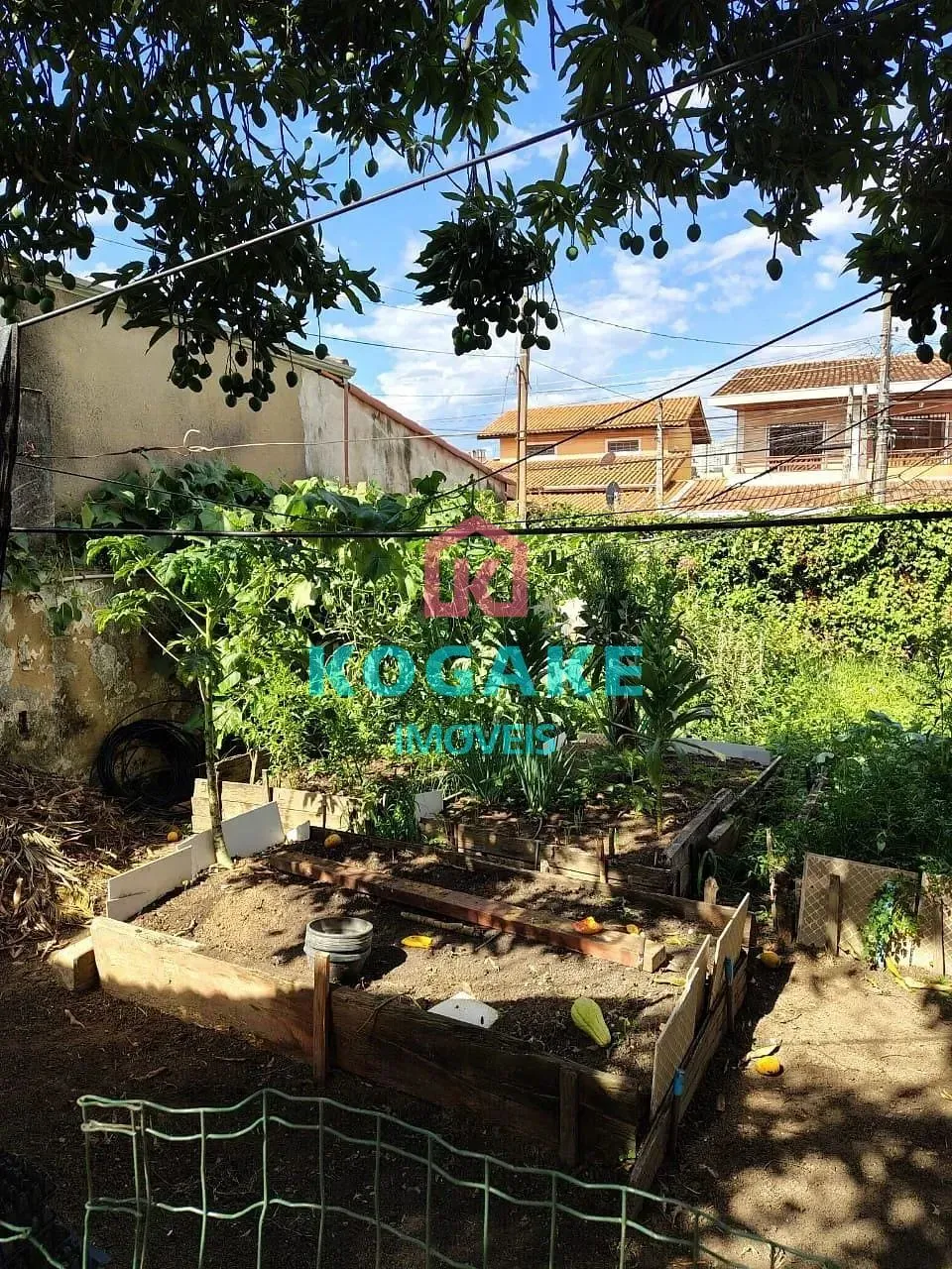Terreno, 250 m² - Foto 9