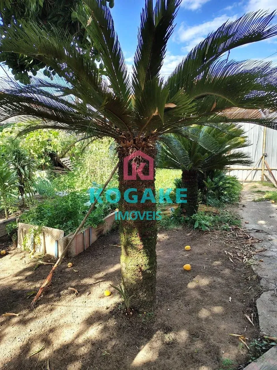 Terreno, 250 m² - Foto 7