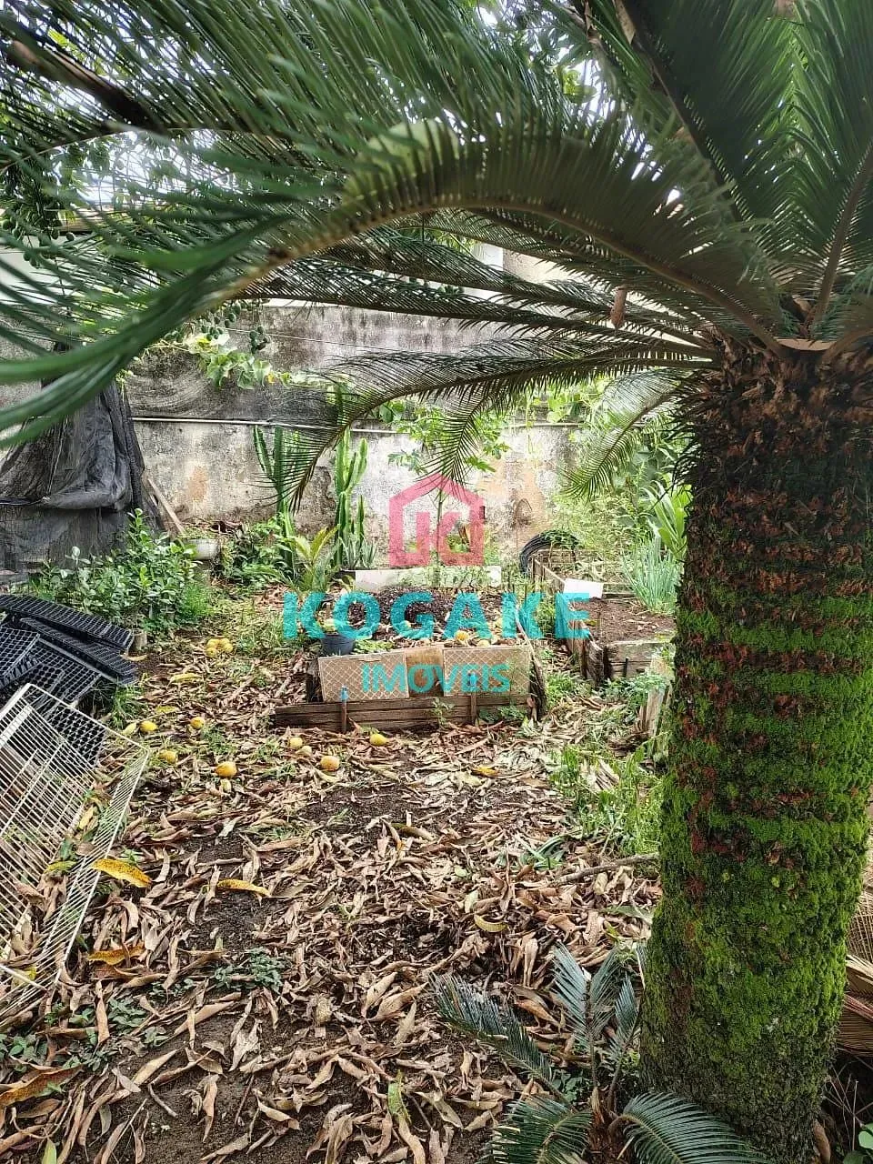 Terreno, 250 m² - Foto 2