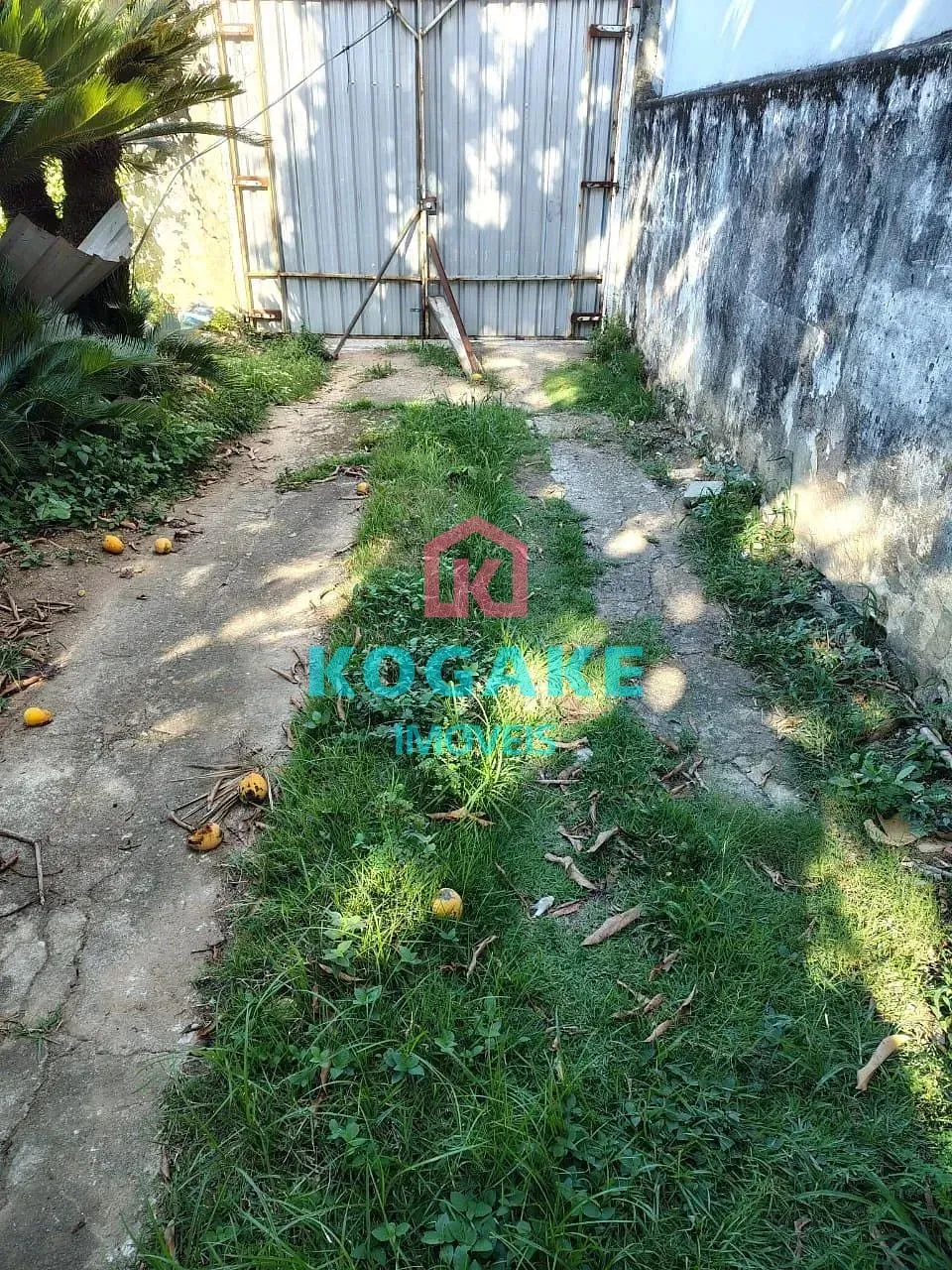 Terreno, 250 m² - Foto 1