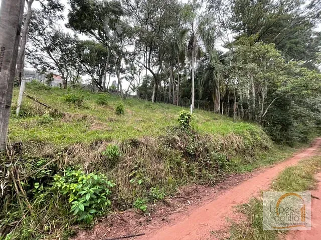 Terreno com 462m², à venda, no bairro Estância Santa Maria do Portão em Atibaia