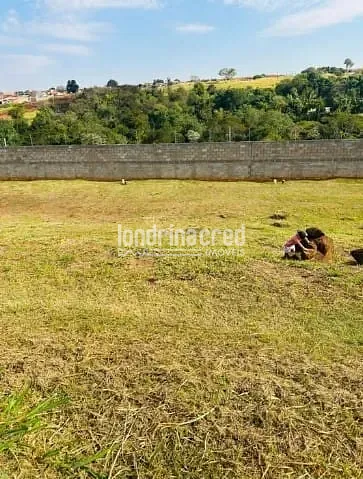 Terreno, 266 m² - Foto 4