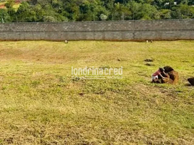 Terreno com 267m², à venda, no bairro Gleba Simon Frazer em Londrina