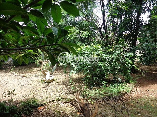 Terreno, 1000 m² - Foto 1