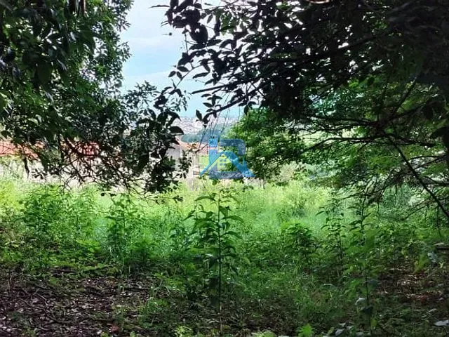 Terreno com 5327m², à venda, no bairro Jardim Virgínia em Itatiba