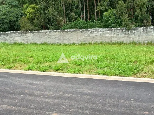 Terreno com 331m², à venda, no bairro Colônia Dona Luíza em Ponta Grossa