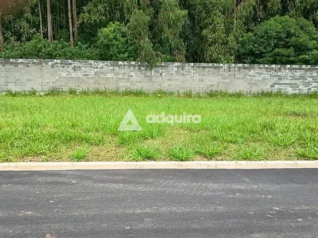 Terreno com 331m², à venda, no bairro Colônia Dona Luíza em Ponta Grossa