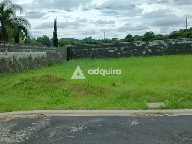 Terreno com 370m², à venda, no bairro Colônia Dona Luíza em Ponta Grossa