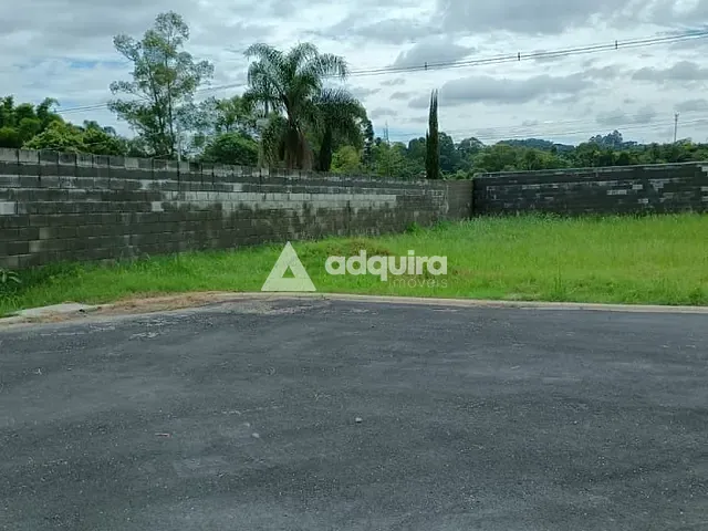 Terreno com 370m², à venda, no bairro Colônia Dona Luíza em Ponta Grossa