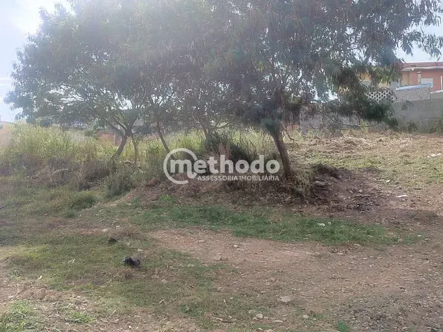 Terreno com 1100m², à venda, no bairro Jardim Novo Campos Eliseos em Campinas
