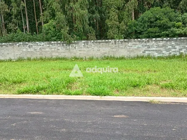 Terreno com 331m², à venda, no bairro Colônia Dona Luíza em Ponta Grossa