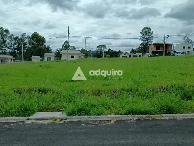 Terreno com 440m², à venda, no bairro Colônia Dona Luíza em Ponta Grossa