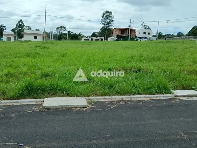 Terreno com 440m², à venda, no bairro Colônia Dona Luíza em Ponta Grossa