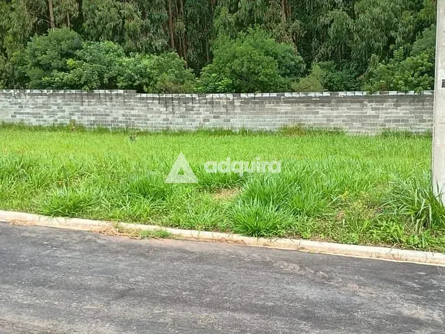 Terreno com 440m², à venda, no bairro Colônia Dona Luíza em Ponta Grossa