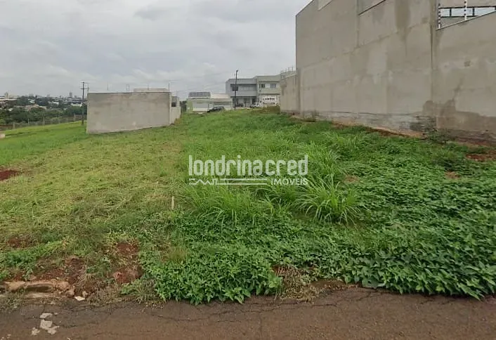 Terreno, 250 m² - Foto 4