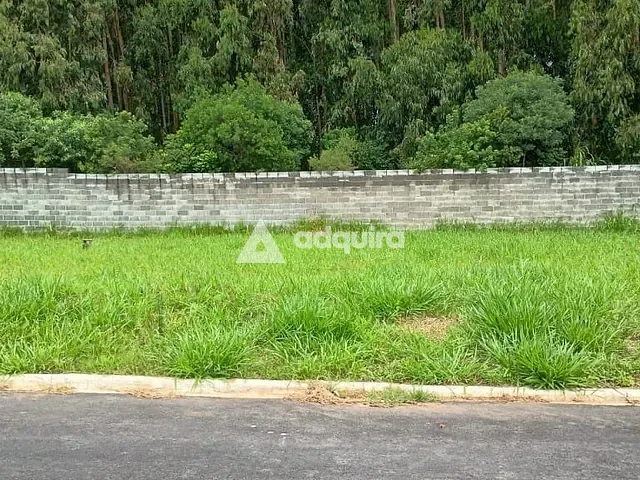 Terreno com 331m², à venda, no bairro Colônia Dona Luíza em Ponta Grossa