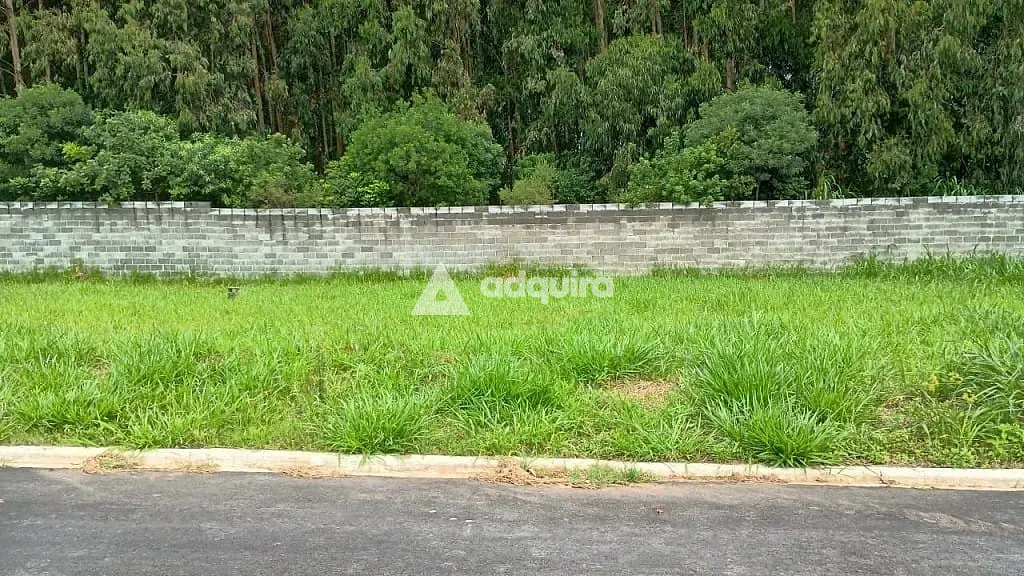 Terreno, 331 m² - Foto 3