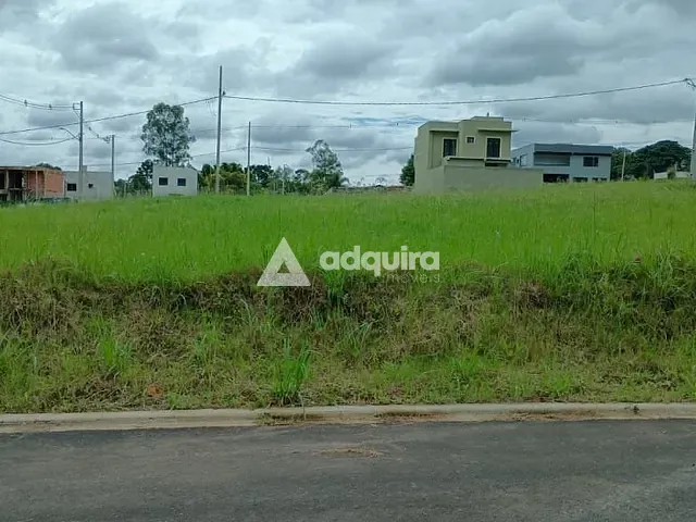 Terreno com 380m², à venda, no bairro Colônia Dona Luíza em Ponta Grossa