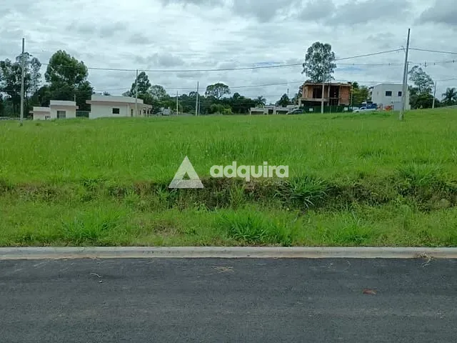 Terreno com 440m², à venda, no bairro Colônia Dona Luíza em Ponta Grossa