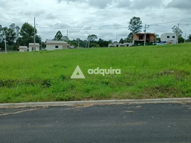 Terreno com 440m², à venda, no bairro Colônia Dona Luíza em Ponta Grossa