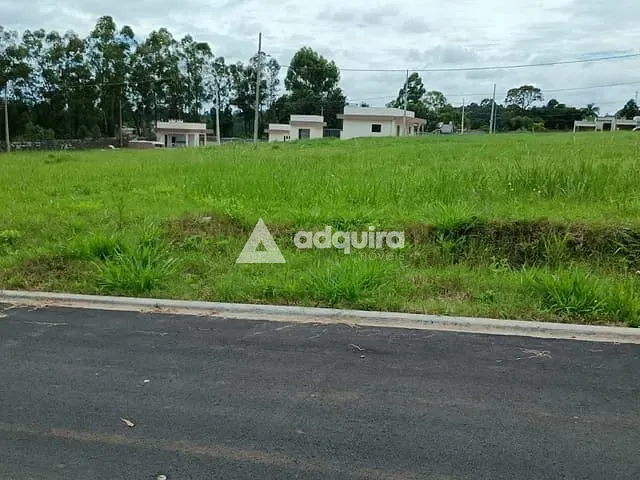 Terreno com 440m², à venda, no bairro Colônia Dona Luíza em Ponta Grossa