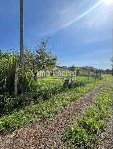 Terreno, 1000 m² - Foto 3