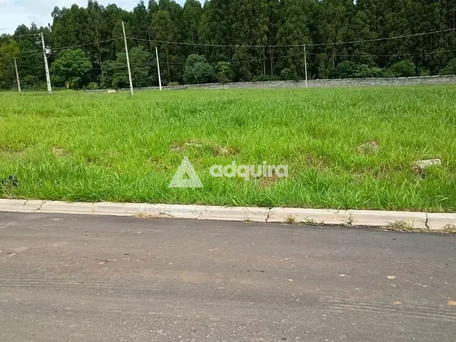 Terreno com 420m², à venda, no bairro Colônia Dona Luíza em Ponta Grossa