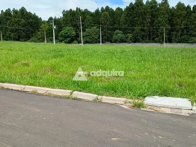 Terreno com 420m², à venda, no bairro Colônia Dona Luíza em Ponta Grossa