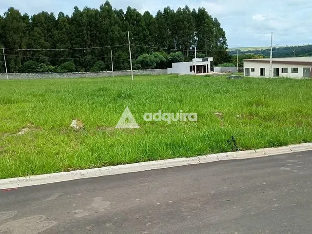 Terreno com 420m², à venda, no bairro Colônia Dona Luíza em Ponta Grossa