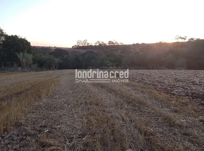 Terreno, 4 hectares - Foto 16