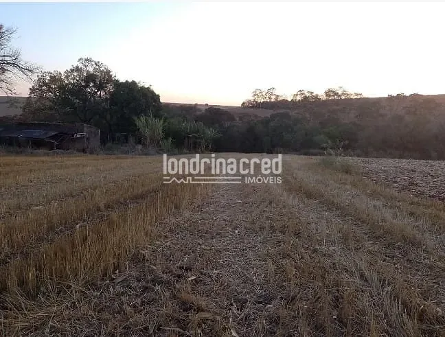 Terreno, 4 hectares - Foto 17