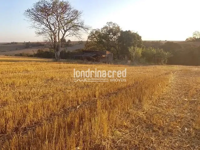 Terreno com 40000m², à venda, no bairro RURAL em Ibiporã