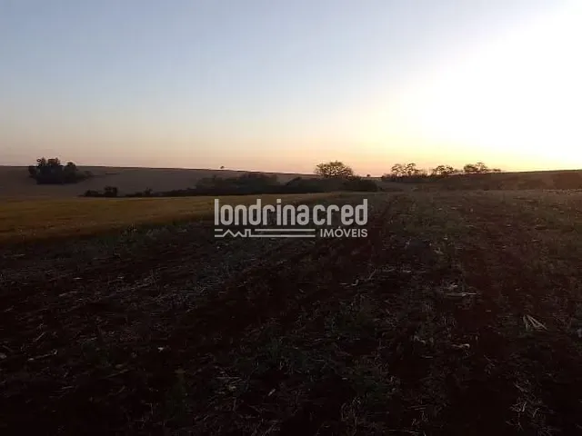 Terreno com 40000m², à venda, no bairro RURAL em Ibiporã