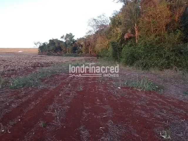 Terreno com 40000m², à venda, no bairro RURAL em Ibiporã