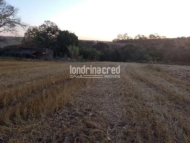 Terreno com 40000m², à venda, no bairro RURAL em Ibiporã