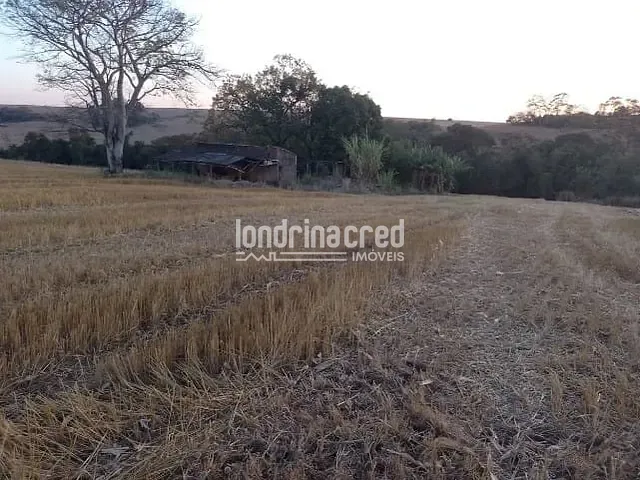 Terreno com 40000m², à venda, no bairro RURAL em Ibiporã
