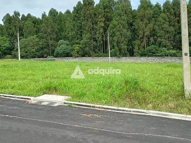 Terreno com 380m², à venda, no bairro Colônia Dona Luíza em Ponta Grossa