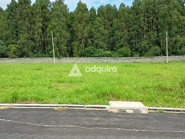 Terreno com 380m², à venda, no bairro Colônia Dona Luíza em Ponta Grossa
