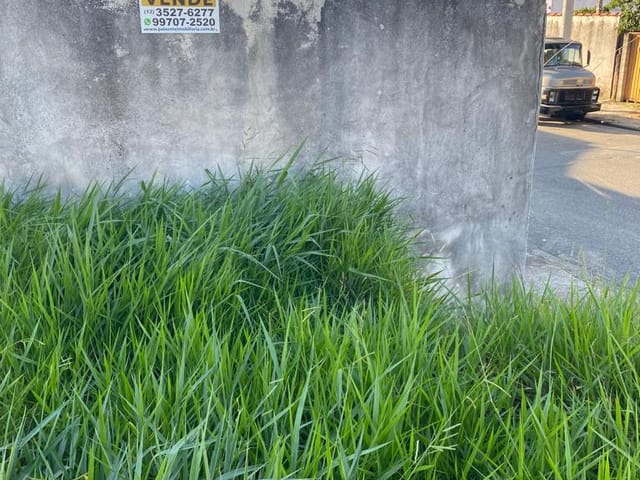 Foto do Terreno - Terreno à venda 250M², Residencial e Comercial Cidade Jardim, Pindamonhangaba - SP | Palacete Imobiliária