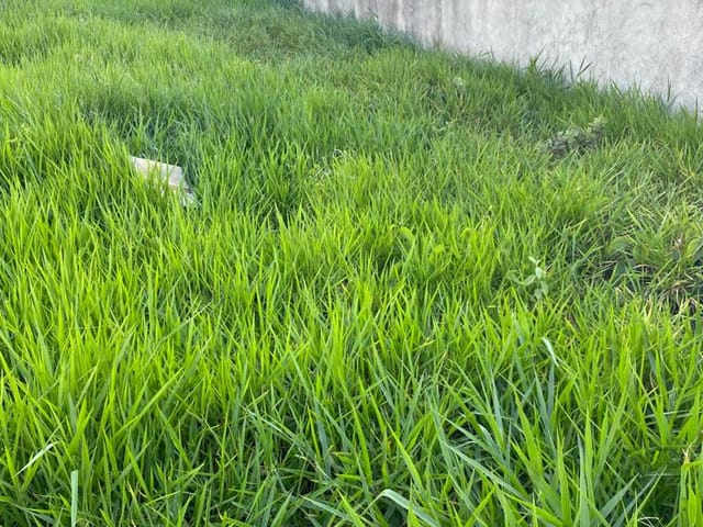 Foto do Terreno - Terreno à venda 250M², Residencial e Comercial Cidade Jardim, Pindamonhangaba - SP | Palacete Imobiliária