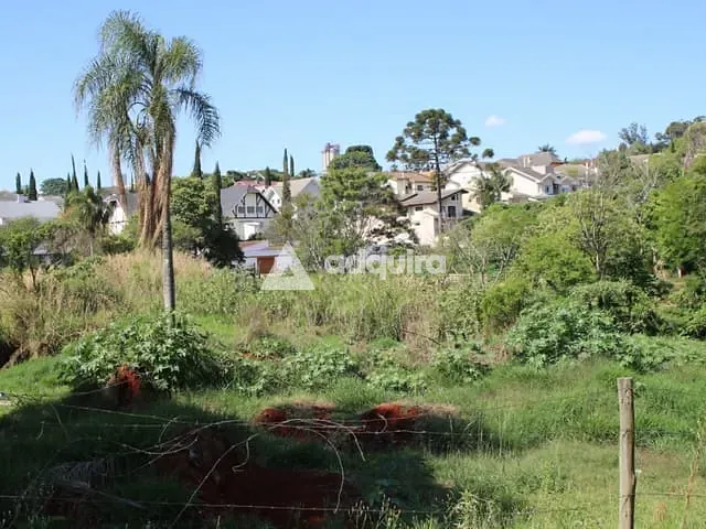 Terreno com 890m², à venda, no bairro Estrela em Ponta Grossa