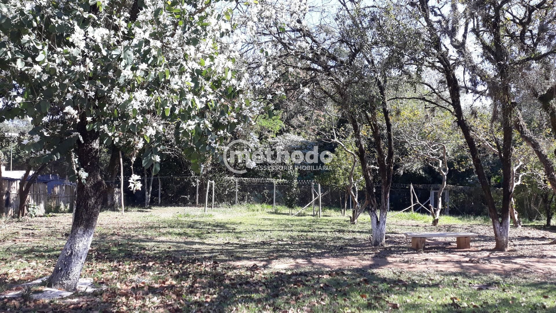 Terreno, 10000 m² - Foto 24