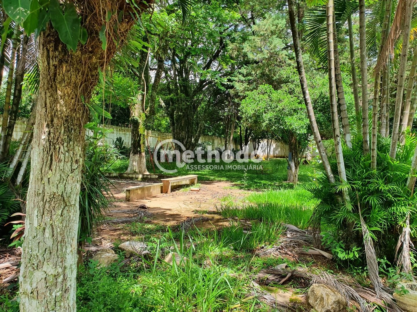 Terreno, 10000 m² - Foto 51