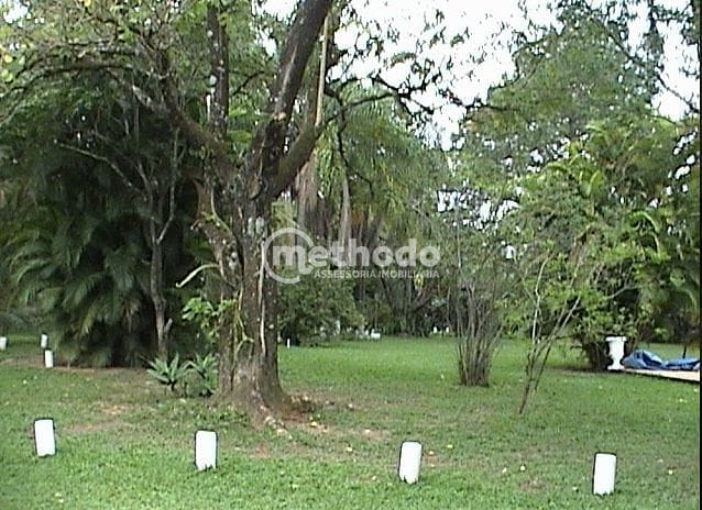 Terreno, 10000 m² - Foto 4