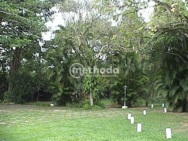 Terreno, 10000 m² - Foto 14