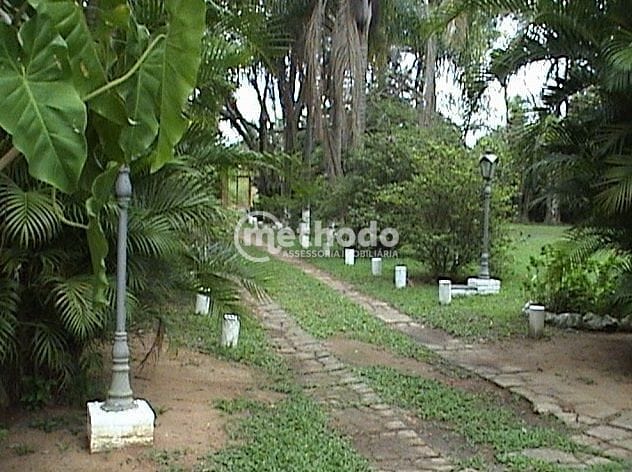 Terreno, 10000 m² - Foto 3